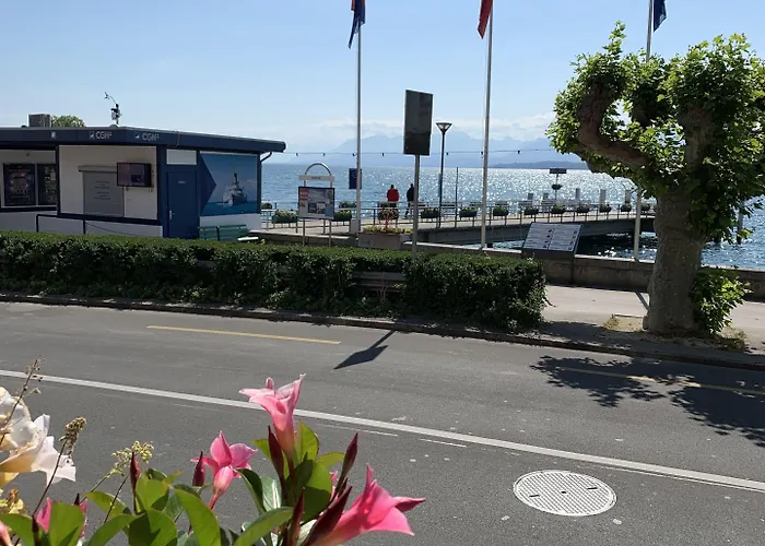 酒店 丽芙酒店 4*